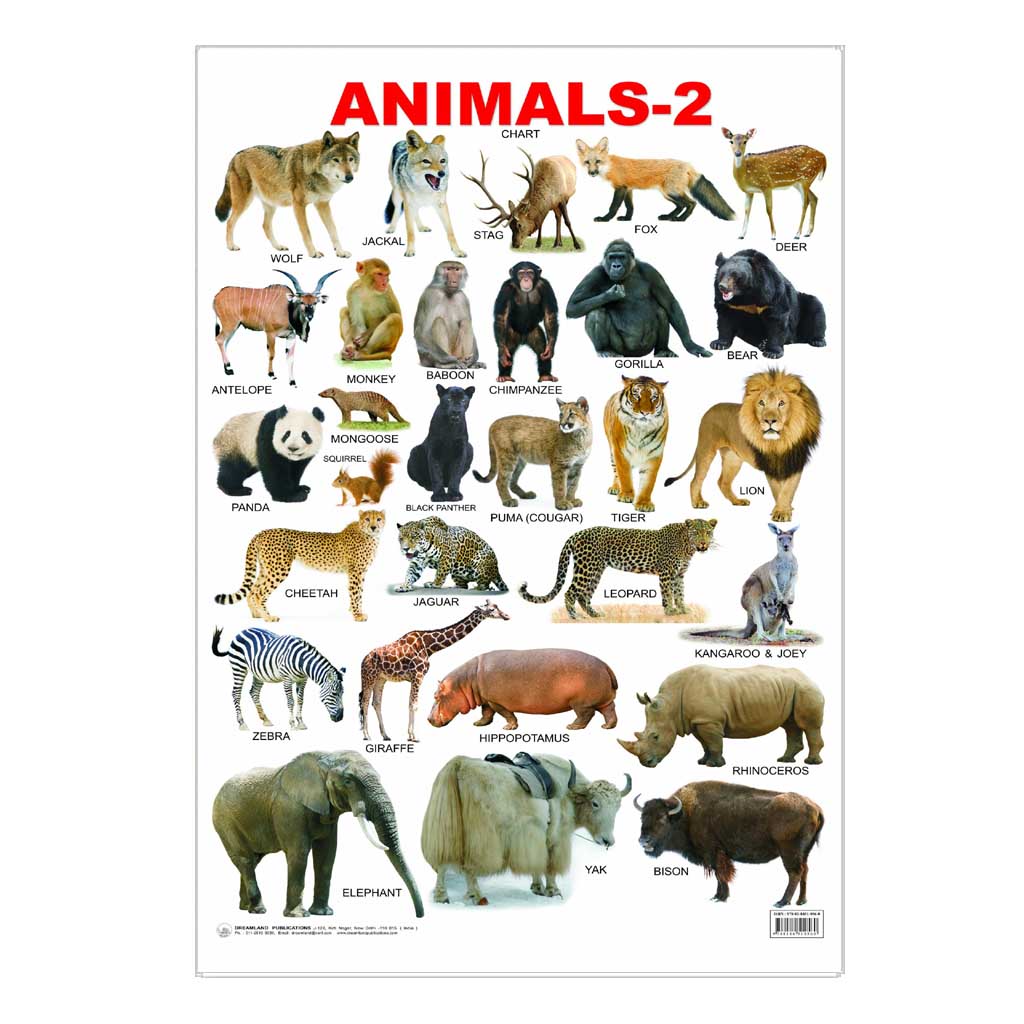 Animals -2 (Early Learling Chart)