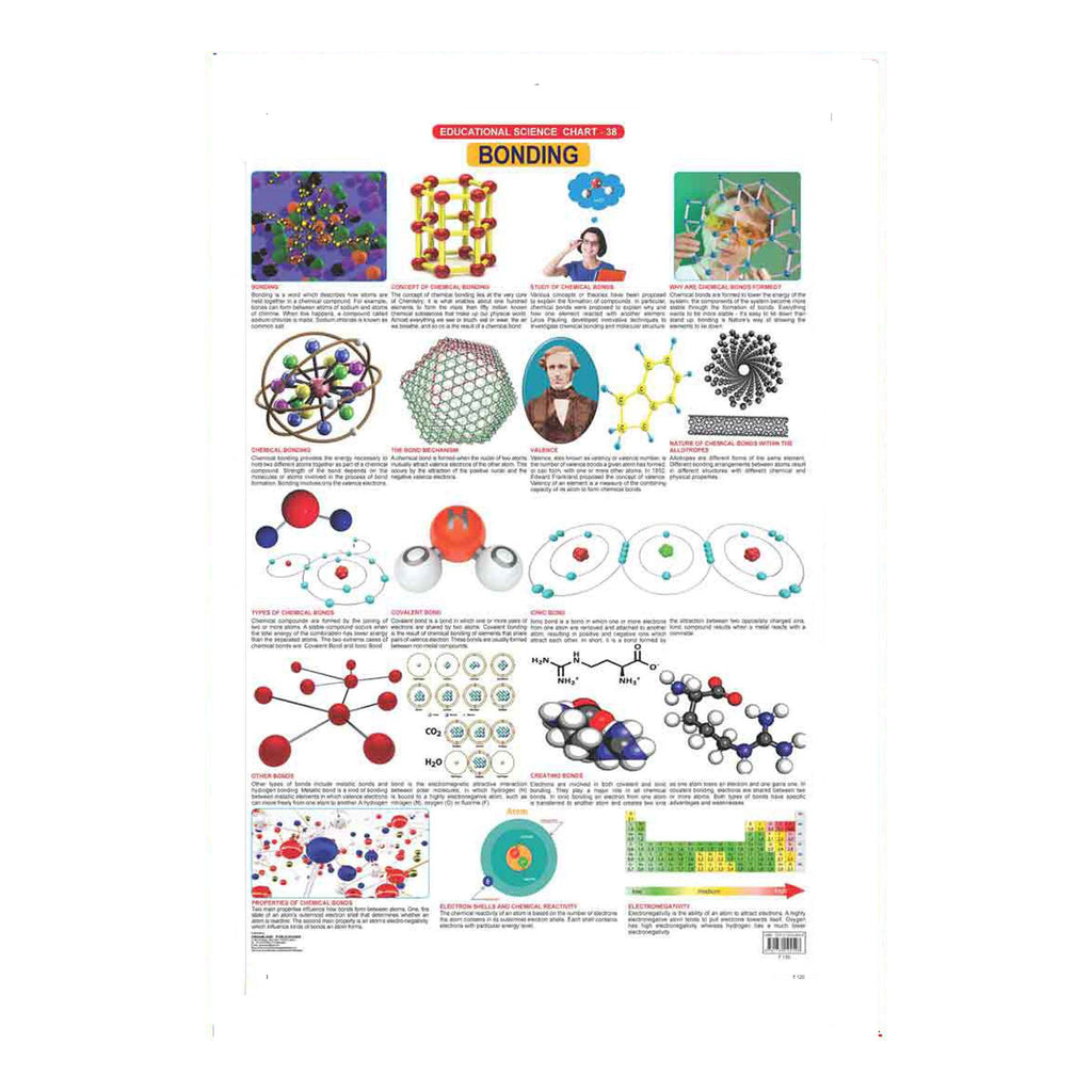 Bonding (Early Learning Chart)