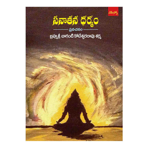 Sanathana Dharmamu (Telugu) Perfect Paperback – 2015 - Chirukaanuka