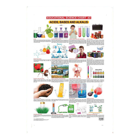 Acids, Bases And Alkalis (Early Learning Chart)