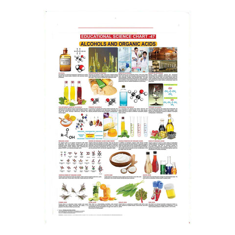 Alcohols And Organic Acids (Early Learning Chart)
