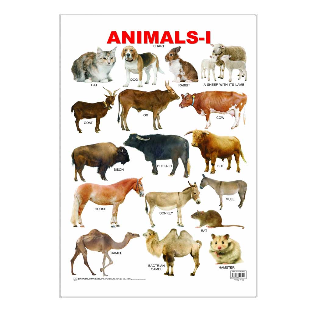Animals -1 (Early Learning Chart)