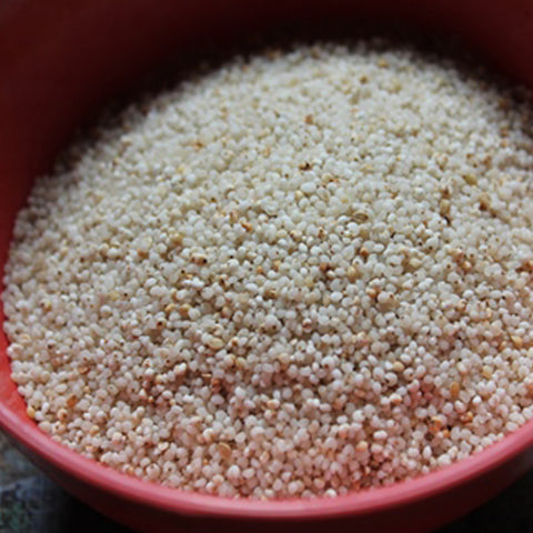 Barnyard Millet - 1Kg (Udalu) (Oodhalu) (Sanwa) (Kuthiravali)