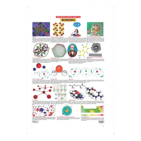 Bonding (Early Learning Chart)