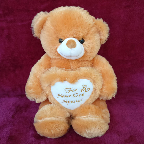 Adorable Pink Teddy 20 Inch - Chirukaanuka