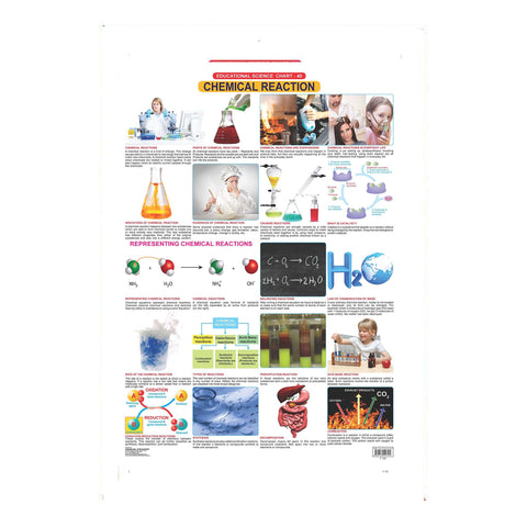 Chemical Reactions (Early Learning Chart)