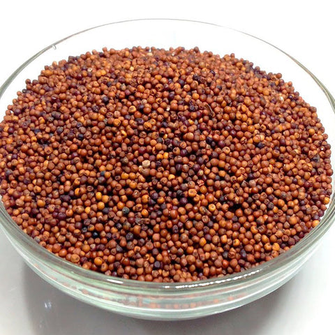 Finger Millet (Ragi) (Ragulu) (Nachani) (Kezhvaragu) - Chirukaanuka