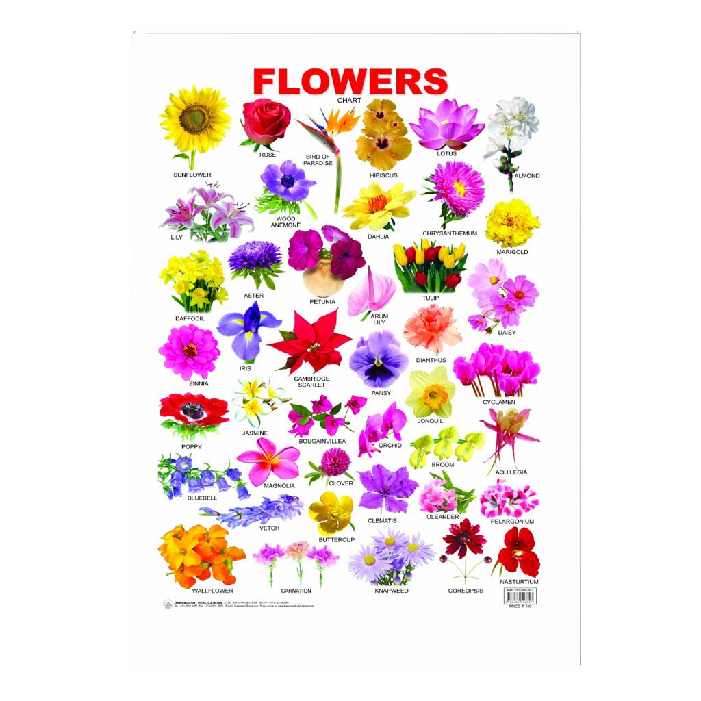 Flower (Early Learning Chart)