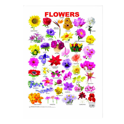 Flower (Early Learning Chart)