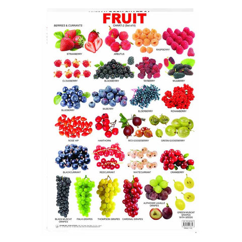 Fruit -2 (Early Learning Chart)