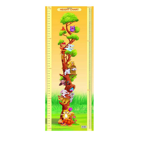 Height (Early Learning Chart) -2
