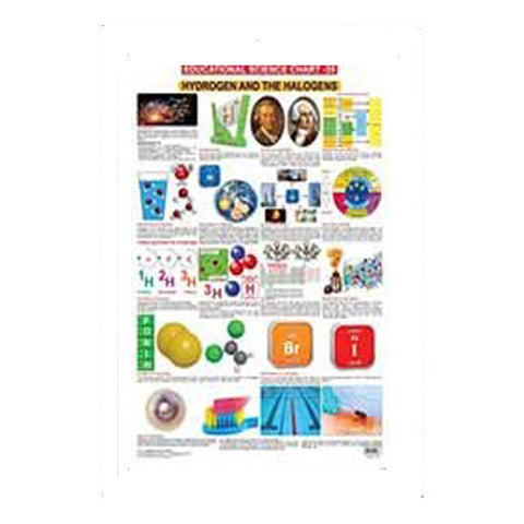 Hydrogen And The Halogens (Early Learning Chart)