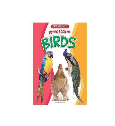 My Big Book of Birds (English)