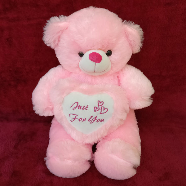 Adorable Pink Teddy 20 Inch - Chirukaanuka