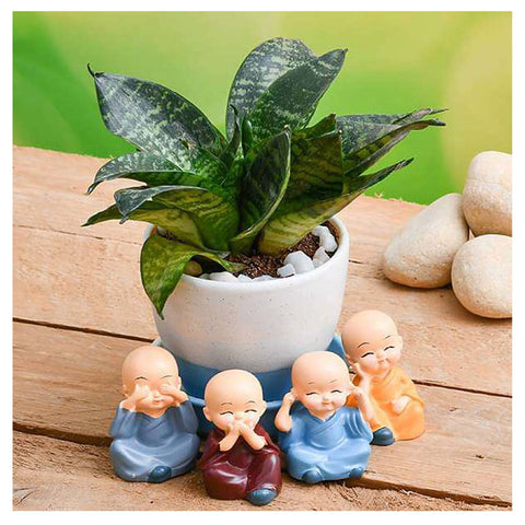 Sansevieria Plant In A Ceramic Planter With Cute monks | Best Air Purifier Plant