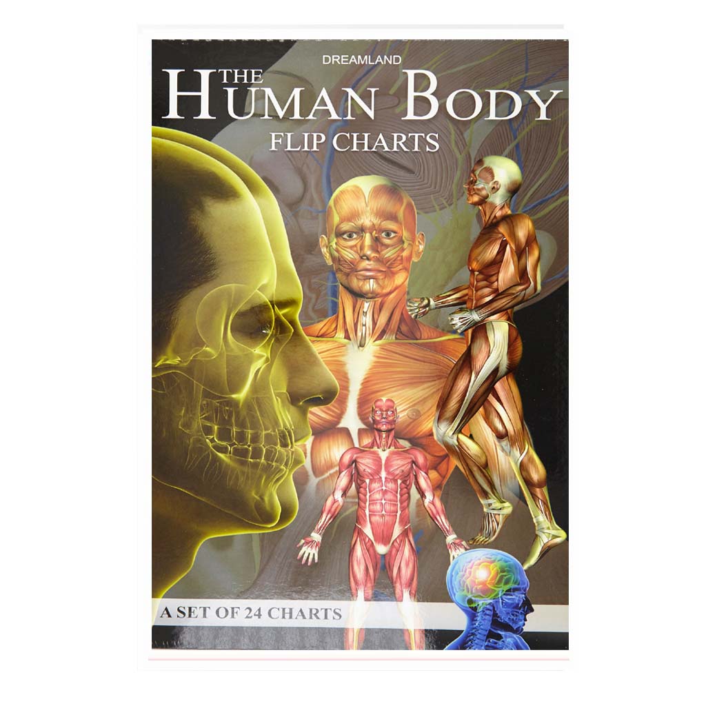 The Human Body Flip Charts - Hardcover (English)